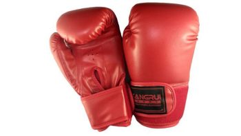 GTZ-3041R BOXING GLOVE