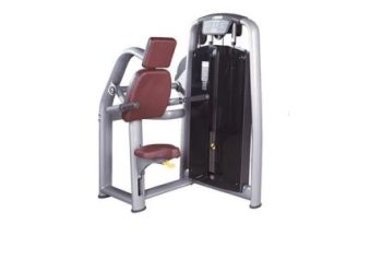 GTZ-6050R TRICEPS DIP