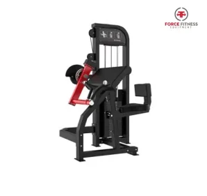 GC-5086R Biceps _ Triceps Machine