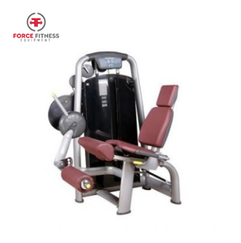 GTZ-6002R Seated Leg Extension