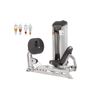 GHP-208R LEG PRESS/CALF RAISE
