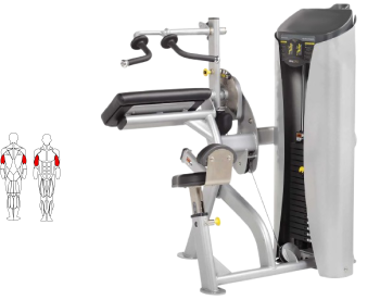 GHP-201R   PREACHER CURL/TRICEPS EXTENSION
