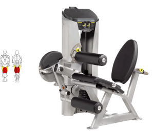 GHP-206R LEG EXTENSION/LEG CURL