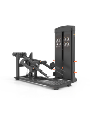 BF-18 Selectorized Deadlift/Split Squat
